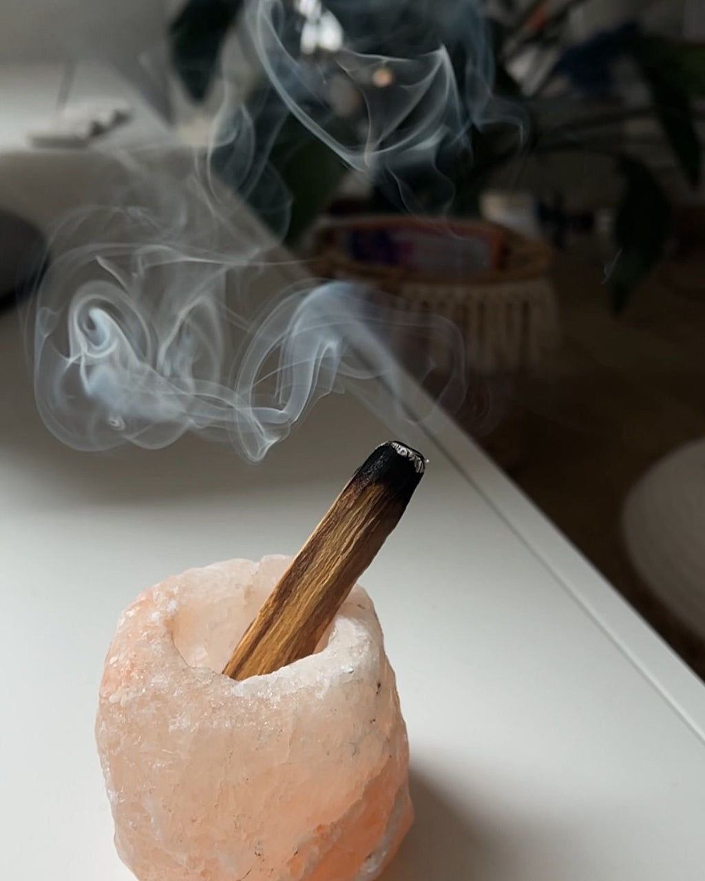 Palo Santo Sticks